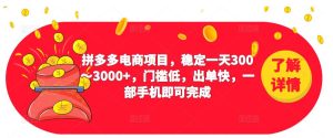2023拼多多电商项目，稳定一天300～3000+，门槛低，出单快，一部手机即可完成-阳知网创资源库