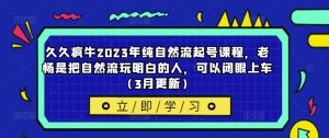 久久疯牛2023年纯自然流起号课程，老杨是把自然流玩明白的人，可以闭眼上车（3月更新）-阳知网创资源库