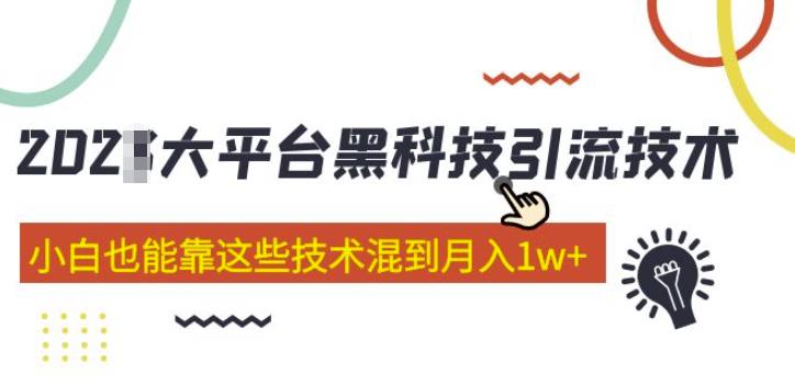 大平台黑科技引流技术,小白也能靠这些技术混到月入1w+(2022年的课程)-阳知网创资源库