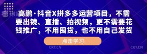 高鹏·抖音X拼多多运营项目,不需要出镜、直播、拍视频,不需要花钱推广,不用囤货,不用自己发货-阳知网创资源库