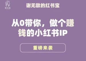 谢无敌·小红书运营大宝典,从0带你做个赚钱的小红书IP-阳知网创资源库