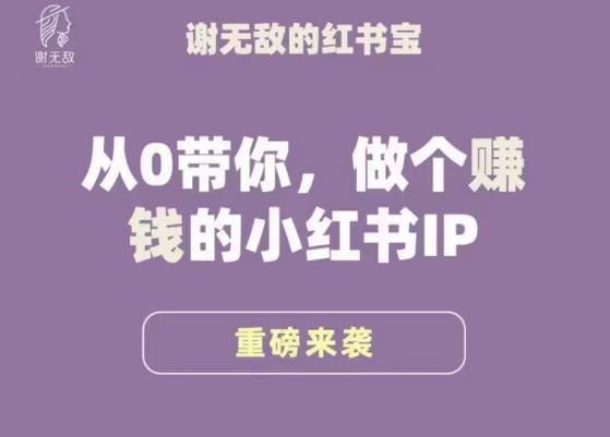 谢无敌·小红书运营大宝典,从0带你做个赚钱的小红书IP-阳知网创资源库