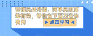 营销实战升级，简单实用落地有效，帮你省下百万咨询费用-阳知网创资源库