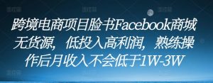 跨境电商项目脸书Facebook商城无货源,低投入高利润,熟练操作后月收入不会低于1W-3W-阳知网创资源库