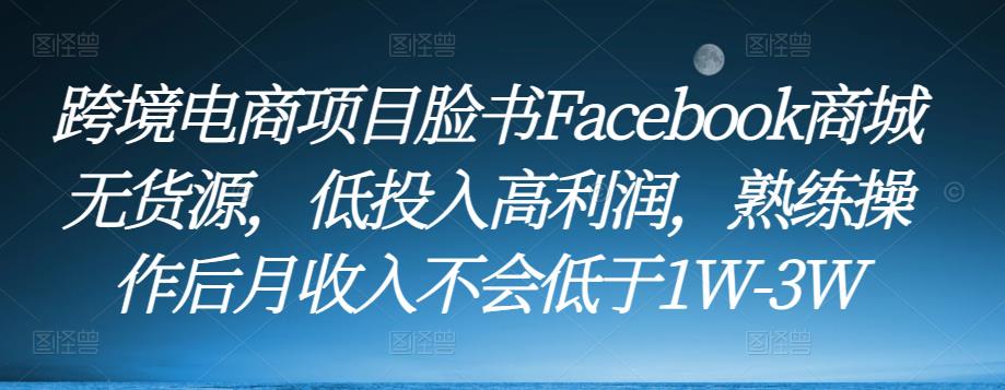 跨境电商项目脸书Facebook商城无货源,低投入高利润,熟练操作后月收入不会低于1W-3W-阳知网创资源库