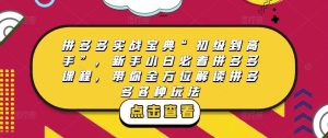 拼多多实战宝典“初级到高手”,新手小白必看拼多多课程,带你全方位解读拼多多各种玩法-阳知网创资源库