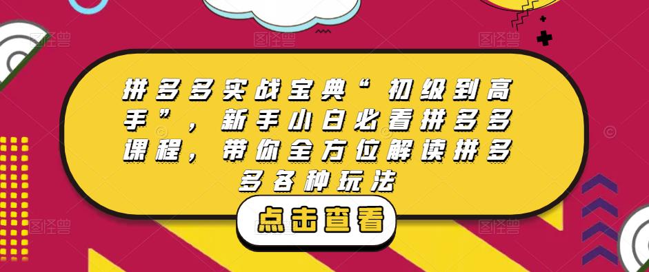 拼多多实战宝典“初级到高手”,新手小白必看拼多多课程,带你全方位解读拼多多各种玩法-阳知网创资源库