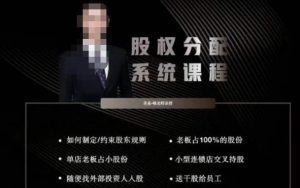 韩老师聊美业-美业股权分配系统课程,如何制定约束股东规则+老板占100%的股份+单店老板占小股份等-阳知网创资源库