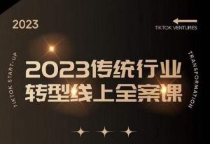 数据哥2023传统行业转型线上全案课,2023年传统行业如何转型线上,线上创业/传统转型避坑宝典-阳知网创资源库