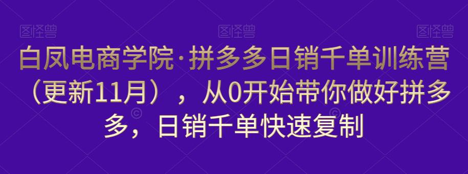 白凤电商学院·拼多多日销千单训练营,从0开始带你做好拼多多,日销千单快速复制(更新知2023年3月)-阳知网创资源库
