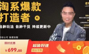 锋投老叶全店动销，淘系干货汇总，各种玩法，淘系爆款打造者-阳知网创资源库