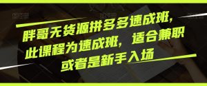 胖哥无货源拼多多速成班,此课程为速成班,适合兼职或者是新手入场-阳知网创资源库