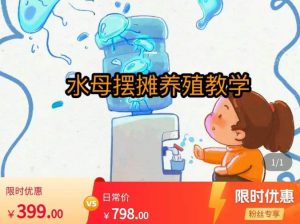 水母摆摊教学，包括摆摊技术、养殖技术、拿货渠道、抖音运营等-阳知网创资源库