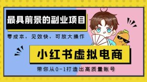 小红书蓝海大市场虚拟电商项目,手把手带你打造出日赚2000+高质量红薯账号-阳知网创资源库