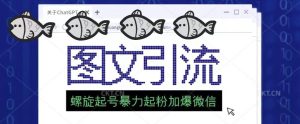 2023年价值1980的图文引流创业粉螺旋起好技术暴力起粉加爆微信-阳知网创资源库