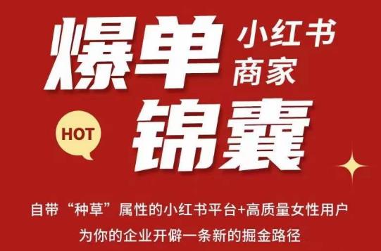 无畏·小红书商家爆单锦囊,掌握小红书各大规则,快速精准抢占行业和市场-阳知网创资源库