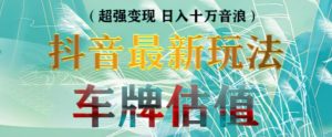 抖音最新无人直播变现直播车牌估值玩法项目，轻松日赚几百+【详细玩法教程】-阳知网创资源库