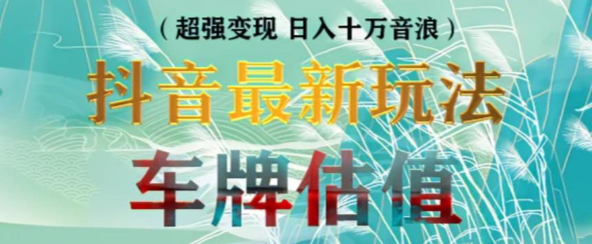 抖音最新无人直播变现直播车牌估值玩法项目，轻松日赚几百+【详细玩法教程】-阳知网创资源库