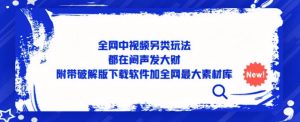 全网中视频另类玩法，都在闷声发大财，附带破解版下载软件加全网最大素材库-阳知网创资源库