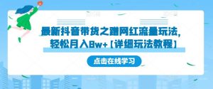 最新抖音带货之蹭网红流量玩法，轻松月入8w+【详细玩法教程】-阳知网创资源库