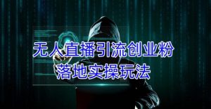 外面收费3980的无人直播引流创业粉落地实操玩法，单日引100+精准创业粉-阳知网创资源库