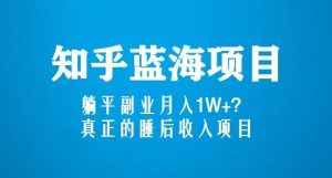 知乎蓝海玩法,躺平副业月入1W+,真正的睡后收入项目(6节视频课)-阳知网创资源库