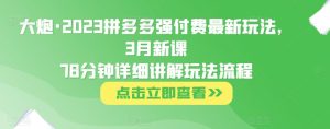 大炮·2023拼多多强付费最新玩法,3月新课78分钟详细讲解玩法流程-阳知网创资源库