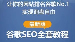 谷歌SEO实战教程:如何让你的网站在谷歌排名第一,内容从入门到高阶,适合个人及团队-阳知网创资源库