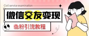 微信交友变现项目,吸引全网LSP男粉精准变现,小白也能轻松上手,日入500+-阳知网创资源库