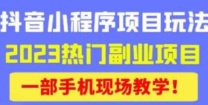 抖音小程序9.0新技巧,2023热门副业项目,动动手指轻松变现-阳知网创资源库
