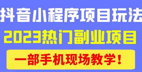 抖音小程序9.0新技巧,2023热门副业项目,动动手指轻松变现-阳知网创资源库