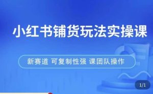 小红书铺货玩法实操课,流量大,竞争小,非常好做,新赛道,可复制性强,可团队操作-阳知网创资源库