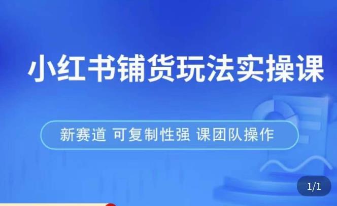 小红书铺货玩法实操课,流量大,竞争小,非常好做,新赛道,可复制性强,可团队操作-阳知网创资源库