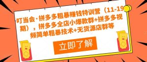 叮当会·拼多多粗暴赚钱特训营(11-19期),拼多多全店小爆款群+拼多多视频简单粗暴技术+无货源店群等-阳知网创资源库
