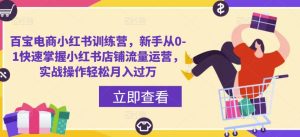 百宝电商小红书训练营,新手从0-1快速掌握小红书店铺流量运营,实战操作轻松月入过万-阳知网创资源库
