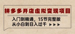 拼多多开店虚拟变现项目:入门到精通,从小白到日入过千(15节完整版)-阳知网创资源库