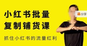 张宾·小红书批量复制铺货课,小红书0-1快速起号变现玩法,抓住小红书的流量红利(更新2023年3月)-阳知网创资源库