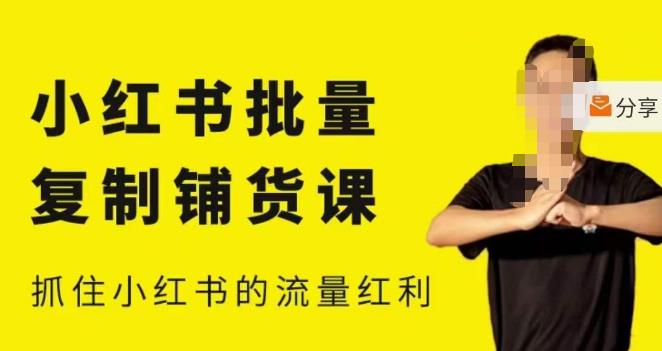 张宾·小红书批量复制铺货课,小红书0-1快速起号变现玩法,抓住小红书的流量红利(更新2023年3月)-阳知网创资源库
