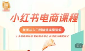 小红书电商新手入门到精通实操课,从入门到精通做爆款笔记,开店运营-阳知网创资源库