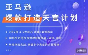 亚马逊爆款打造天宫计划,5大核心逻辑+案例展示,助你全方位打造爆款链接高效、省钱、稳定-阳知网创资源库