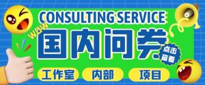 最新工作室内部国内问卷调查项目,单号轻松日入30+多号多撸【详细玩法教程】-阳知网创资源库