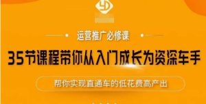 35节课程带你从入门成长为资深车手,让系统学习直通车成为可能,帮你实现直通车的低花费高产出-阳知网创资源库