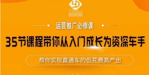 35节课程带你从入门成长为资深车手,让系统学习直通车成为可能,帮你实现直通车的低花费高产出-阳知网创资源库