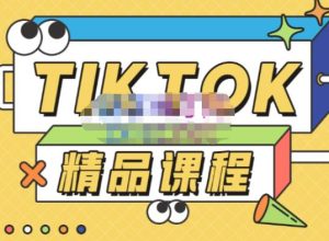 电商孵化中心·TikTok精品课程，教你玩转海外抖音，低成本创业，带您从0开始玩转TikTok-阳知网创资源库
