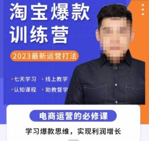 爱上黄昏·淘宝爆款训练营，2023最新运营打法，学习爆款思维，实现利润增长-阳知网创资源库