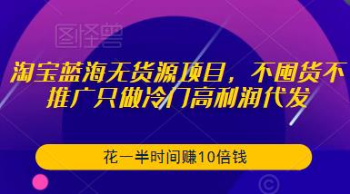 淘宝蓝海无货源项目,不囤货不推广只做冷门高利润代发,花一半时间赚10倍钱-阳知网创资源库