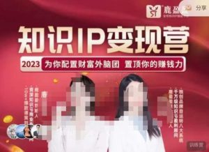 鹿盈盈-知识IP变现实操营,普通人可复制的知识产品落地实操课,带你打通知识IP变现底层逻辑-阳知网创资源库
