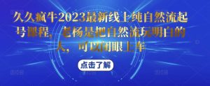 久久疯牛2023最新线上纯自然流起号课程，老杨是把自然流玩明白的人，可以闭眼上车-阳知网创资源库