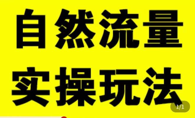 拼多多自然流量天花板,拼多多自然流的实操玩法,自然流量是怎么来的,如何开车带来自然流等知识-阳知网创资源库