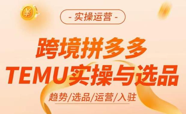 跨境拼多多TEMU实操与选品,掌握平台运营方法技巧,选品避坑12条标准,爆款的底层思路等-阳知网创资源库